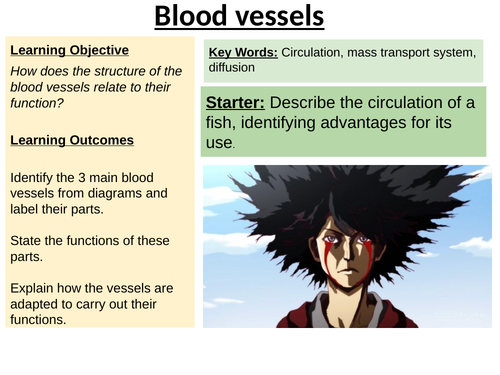 IAS / IAL Edexcel Biology Unit 1 Topic 1: Blood vessels & heart ...