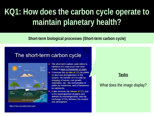 6.2 Short term biological processes