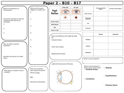 New 9-1 Triple Biology GCSE Summary Revision Sheets | Teaching Resources