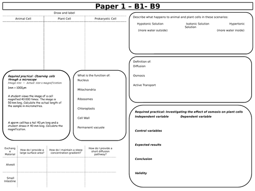 New 9-1 Triple Biology GCSE Summary Revision Sheets | Teaching Resources