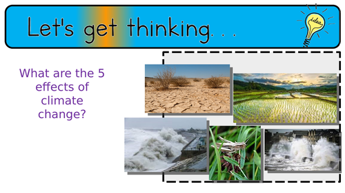 AQA GCSE Food Preparation & Nutrition section 5 lesson 3: Food and Environment Practical