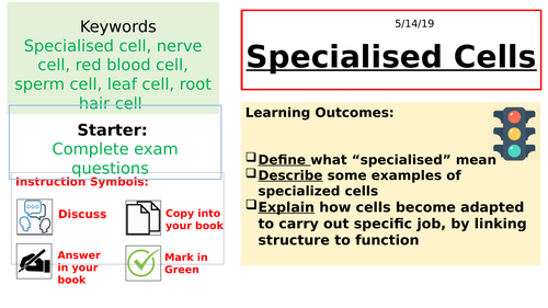 Year 7 Specialised Cells Activate 1