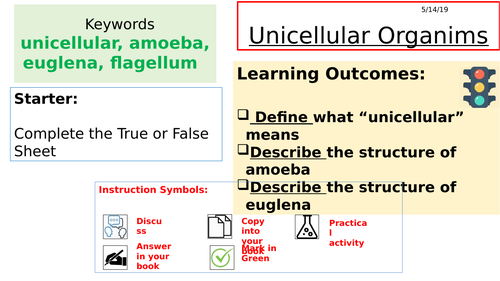 Year 7 Unicellular Organism Activate 1