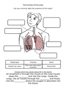 KS2 Science Function of the Lungs Labelling Worksheet with Fill in the ...