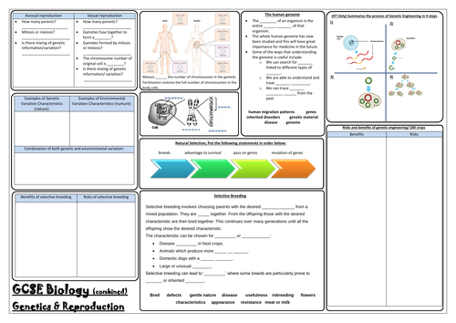 Aqa Gcse Biology 9 1 Paper 2 Revision Mats Combined Sciences Trilogy Teaching Resources 4701