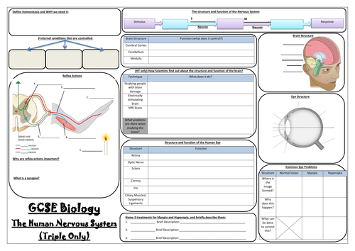 AQA GCSE Biology (9-1) - Paper 2 Revision Mats - Triple Sciences ...