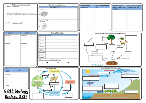 AQA GCSE Biology (9-1) - Paper 2 Revision Mats - Triple Sciences ...