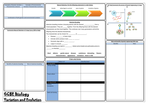 AQA GCSE Biology (9-1) - Paper 2 Revision Mats - Triple Sciences ...