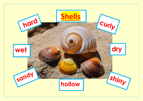 Shell words to read (8)