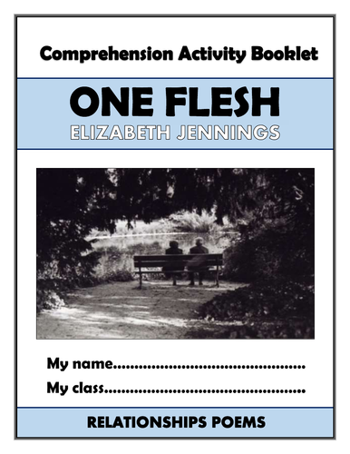 One Flesh Comprehension Activities Booklet!