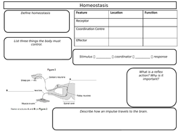 GCSE Biology Revision Sheets | Teaching Resources