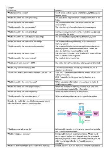 memory folding revision questions gcse psyc edexcel