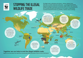 WWF Illegal Wildlife Trade KS2 and KS3 Activity Set | Teaching Resources