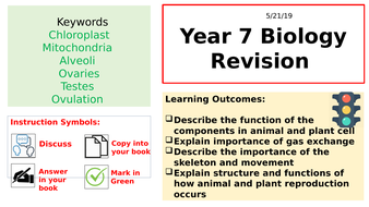 End of Year 7 Biology Revision | Teaching Resources