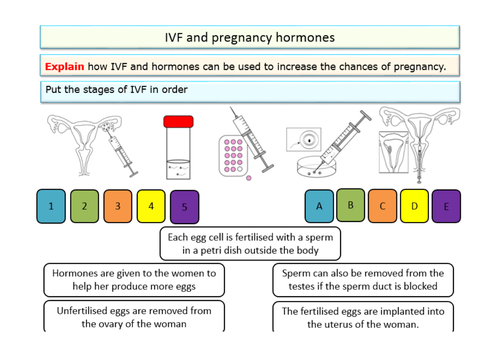 Reproduction - becoming pregnant for KS3 and KS4 Biology (Science ...