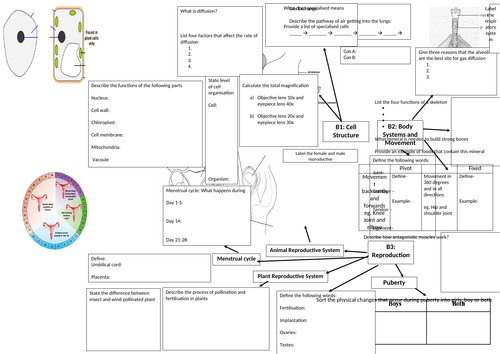 docx, 631.59 KB