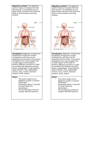 docx, 109.06 KB