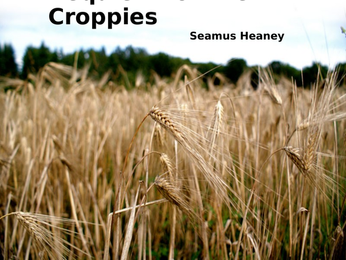 Requiem for the Croppies  by Seamus Heaney- Poetry Analysis (CCEA GCSE Conflict Poetry)