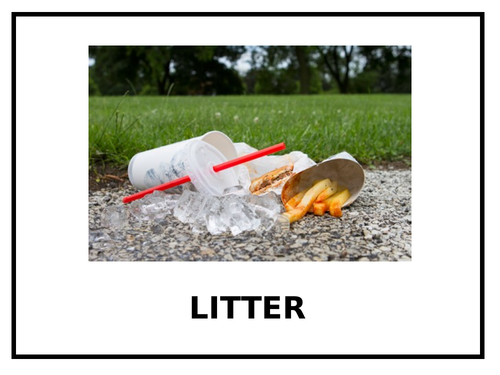 School Assembly - LITTER