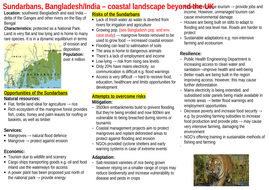 Sundarban research paper image