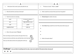 Year 3 guided reading successful interview lesson | Teaching Resources