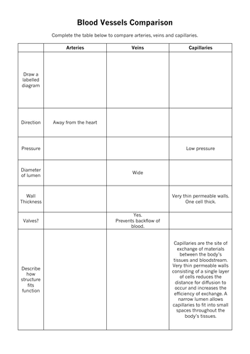 Blood Vessels Comparison Table Worksheet | Teaching Resources