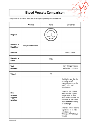 Comparing Blood Vessels Table + Answers