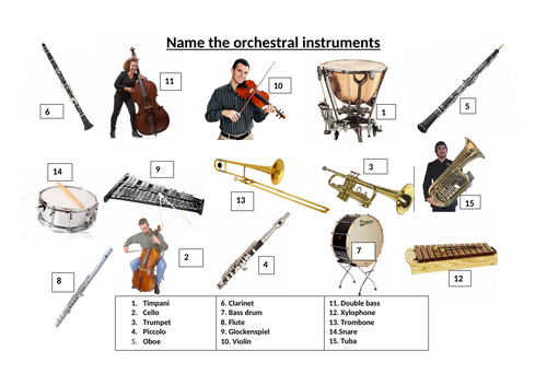 espiritual transmitir Cinco Instruments of orchestra | Teaching Resources