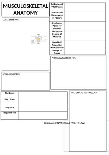 ib-sports-science-topic-1-teaching-resources