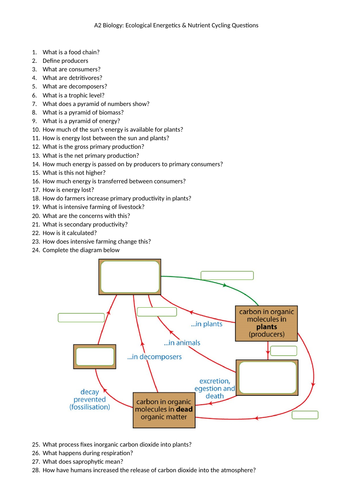 A2 Biology Ecological Energetics & Nutrient Cycling Questions & Answers