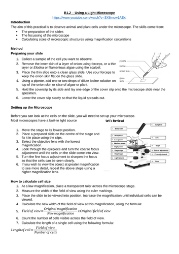 Required practical flashcards