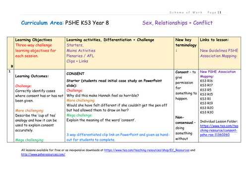 Year 8 Scheme of Work RSE | Teaching Resources