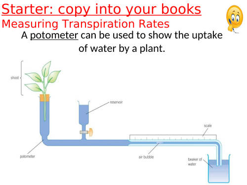 ppt, 761 KB