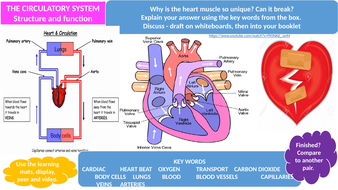 CARDIO-RESPIRATORY SYSTEM | Teaching Resources