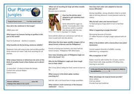 Our Planet Jungles by DocGeog | Teaching Resources