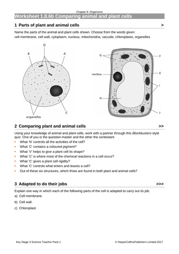 docx, 198.96 KB