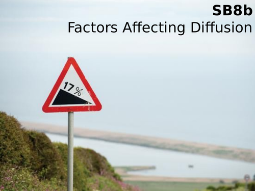 Edexcel SB8b Factors Affecting Diffusion