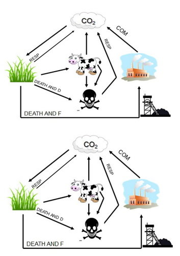 Carbon Cycle | Teaching Resources