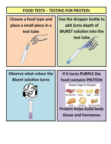 Food test instruction sheets (ideal for open evenings) | Teaching Resources