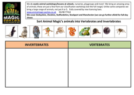 Vertebrate or Invertebrate worksheet by animalmagicparties | Teaching