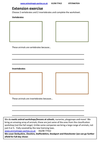 Vertebrate or Invertebrate worksheet | Teaching Resources