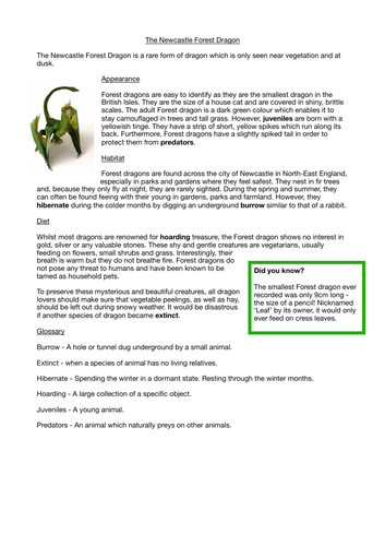 Non chronological report year 3 ppt image