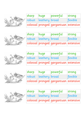 Non chronological report examples year 4 image