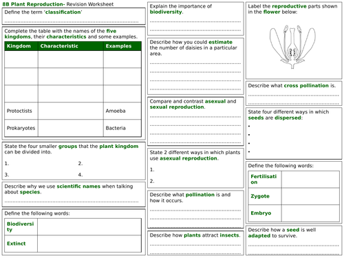 Exploring Science 8B Revision Worksheet- Plant Reproduction