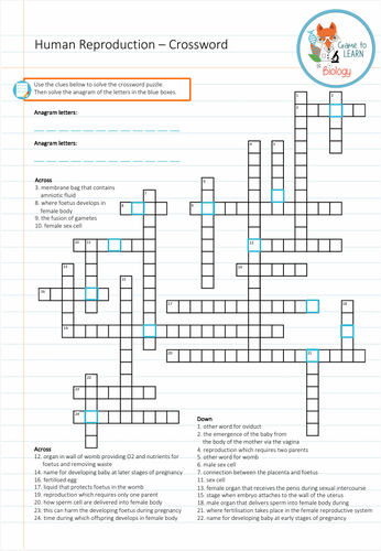 human-reproduction-crossword-ks3-teaching-resources