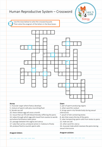 Human Reproductive System Crossword Ks2 3 Teaching Resources