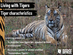 Tremendous Tigers - Characteristics, habitats, threats and solutions ...