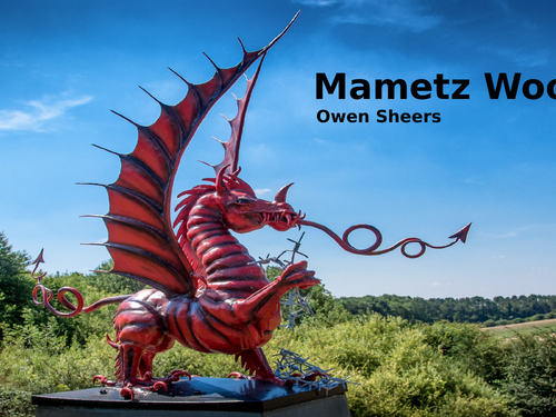 Mametz Wood by Owen Sheers- Poetry Analysis (CCEA GCSE Conflict Poetry)