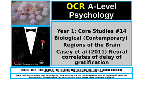 OCR A-Level Psychology: Core Study (Bio/Contemporary) #14  Casey et al (2011) Neural Correlates