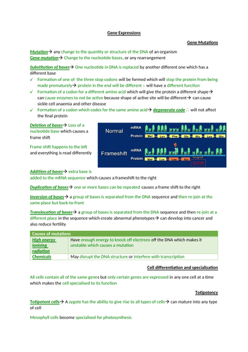 AQA Biology section 8 notes